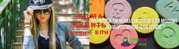 apvp Алзамай