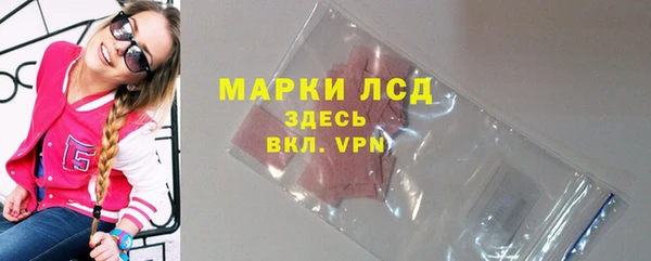 apvp Алзамай