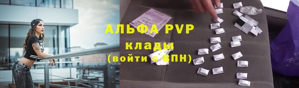 apvp Алзамай