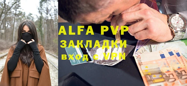 apvp Алзамай