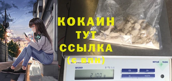 спиды Алексин