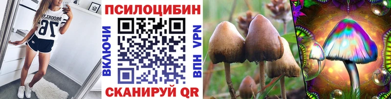 Галлюциногенные грибы прущие грибы  KRAKEN рабочий сайт  Анжеро-Судженск 